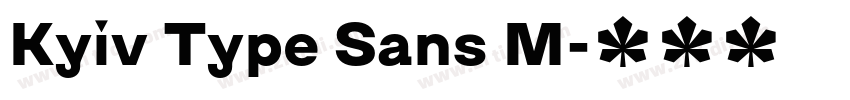 Kyiv Type Sans M字体转换